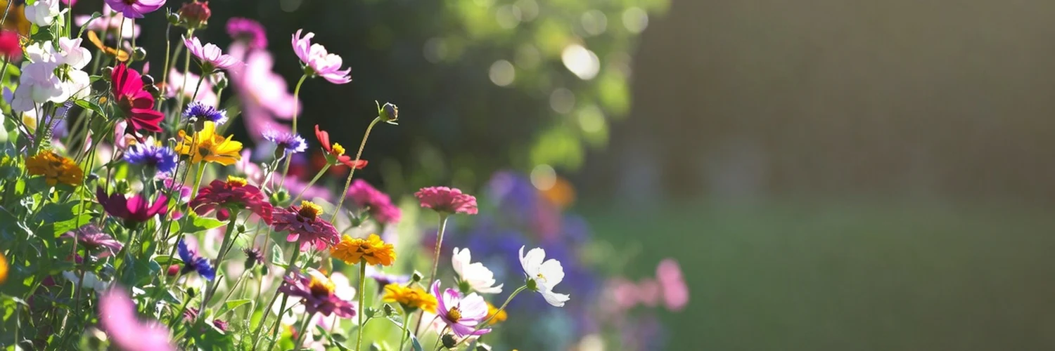 Cultivate Nature's Finest Beauty